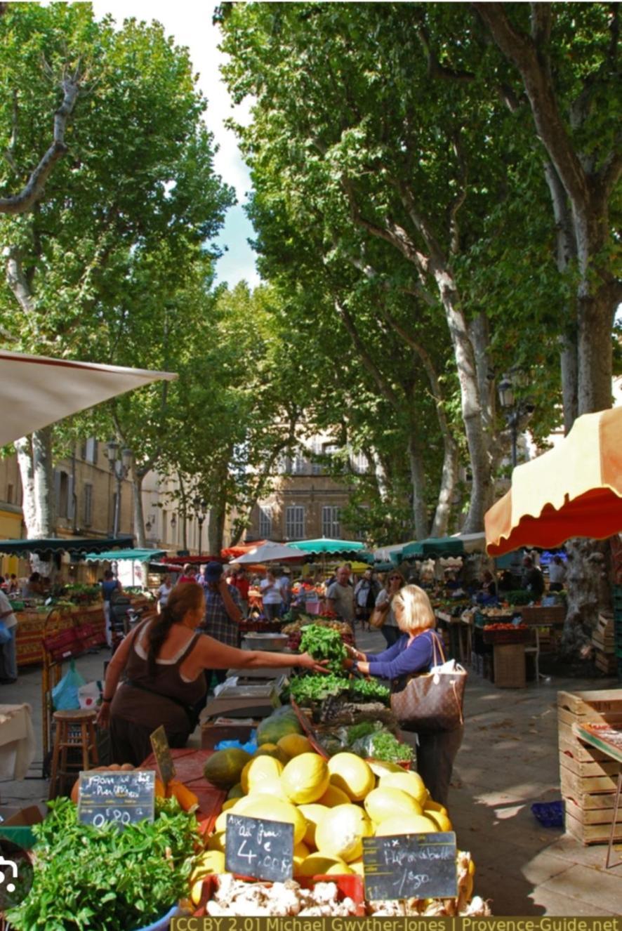 Superbe Appartement Avec Jardin Quart Mazarin 普罗旺斯地区艾克斯 外观 照片